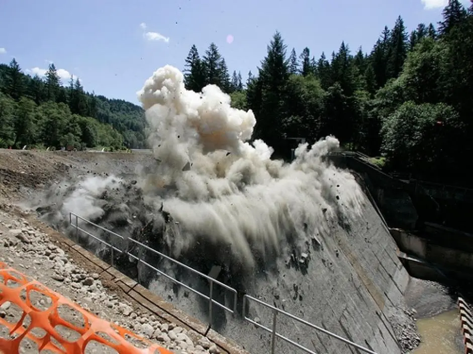 hewlett packard remove old dams - How do you decommission a dam