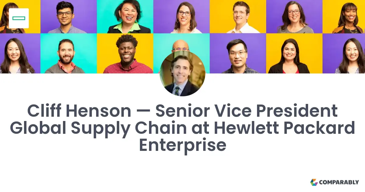 vice president of supply chain enablement at hewlett-packard salary - What does a VP in supply chain make