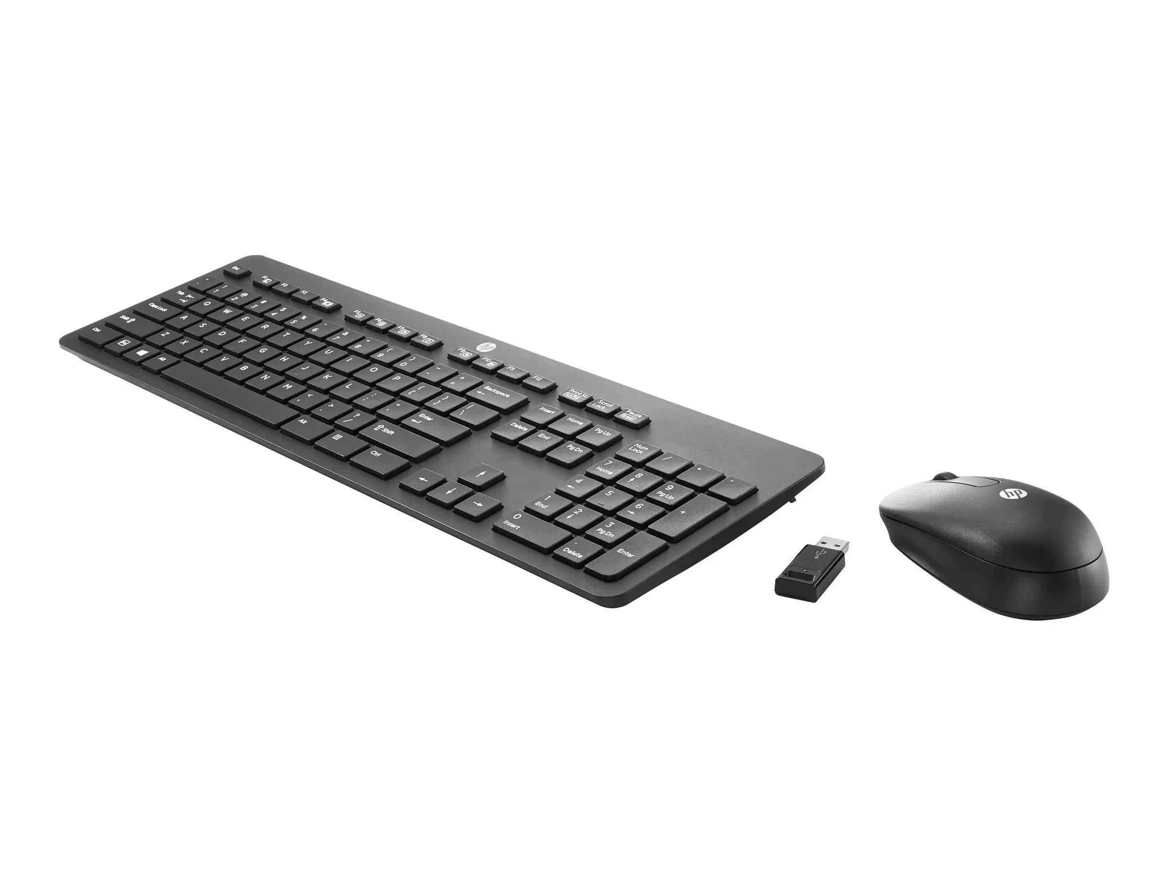 hewlett packard keyboard key to ouput to projector - What is the function key for screen display