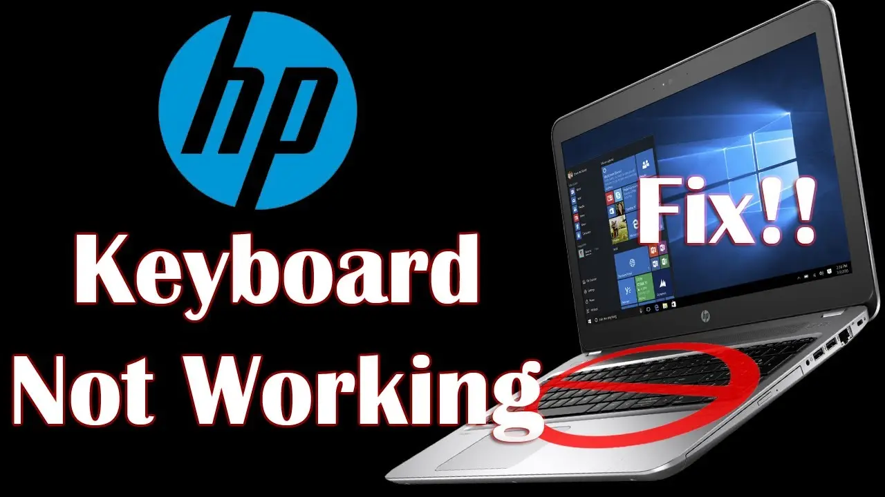 hewlett packard computer keyboard and external keyboard not working - Why is my keyboard and keypad not working